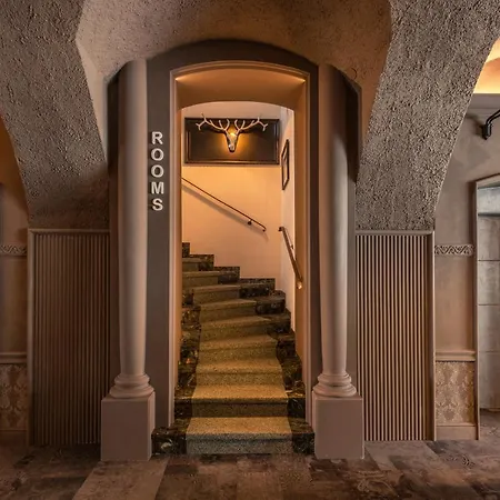 Fischer Hotel 4*